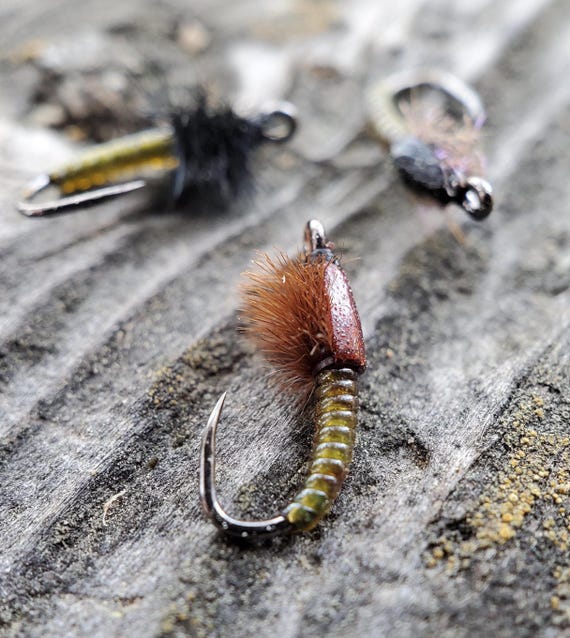Apex D-rib Larva Nymph, Vinyl Rib Caddis Imitation Trout Lure (3 Pack) - Etsy Israel Apex D-rib Larva Nymph, Vinyl Rib Caddis Imitation Trout Lure (3 Pack) - Etsy Israel