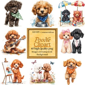 Poodle Clipart | 40 PNG transparente de alta qualidade | Ilustração de filhote de cachorro em aquarela | Arte de parede para animais de estimação, artesanato em papel | Download digital instantâneo