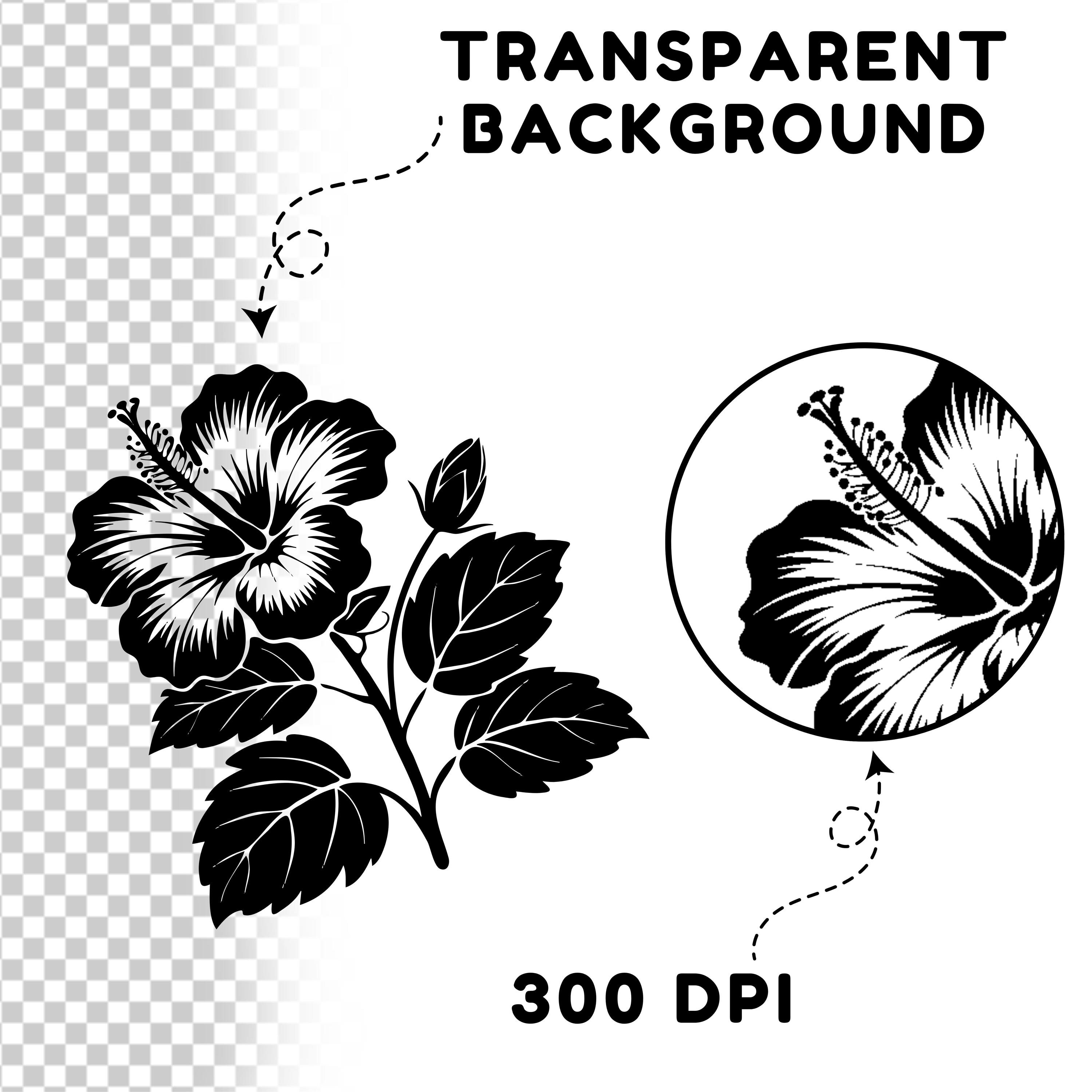 Hibiscus Flower SVG Bundle: Tropical Floral Vector Graphics | Cutting ...