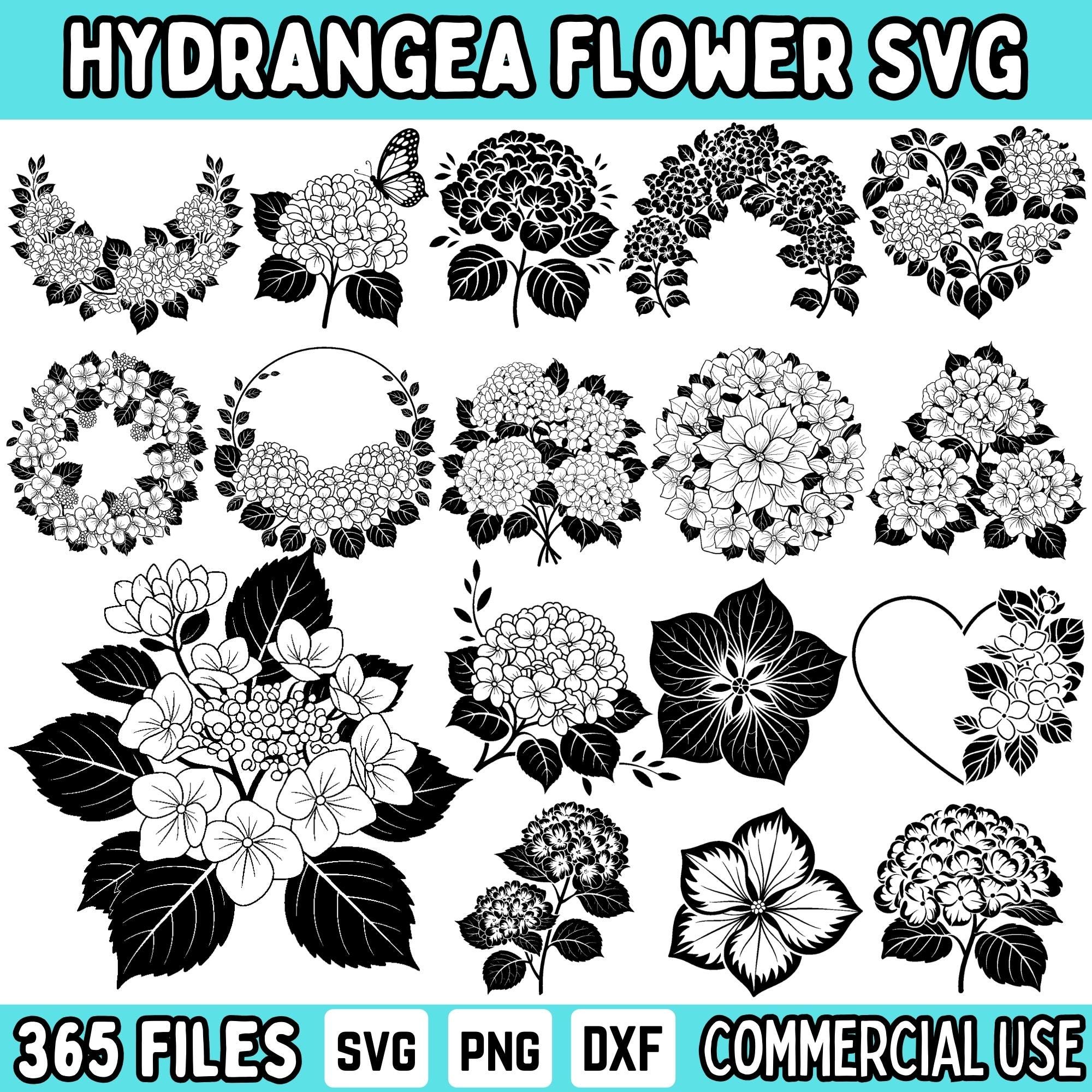 Hydrangea SVG Bundle – Floral SVG, Hydrangea Clipart, Flower