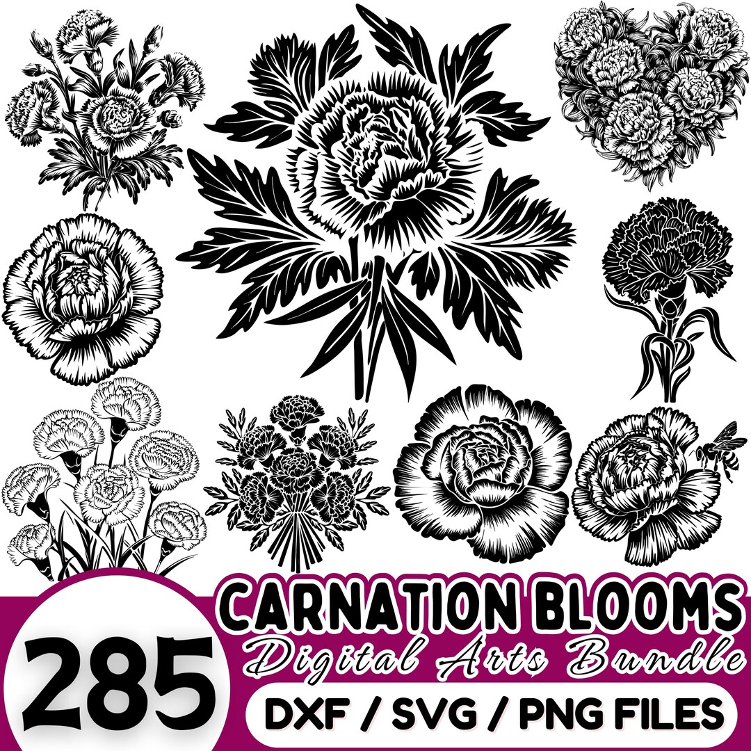 Carnation Flower SVG Bundle: Commercial Use Vector Graphics (digital ...