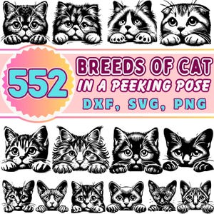 Cat Breeds Peeking Pose Clipart Bundle: SVG, PNG, DXF Vector | Cricut Cutting Files