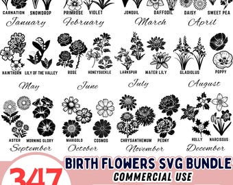 Paquete de 347 diseños SVG de flores de nacimiento: archivos botánicos para Cricut con motivos del mes de nacimiento, ideales para regalos personalizados, camisetas florales y decoración. Archivos PNG y DXF.