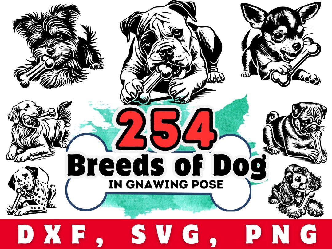 Dog Breeds SVG Bundle: 254 Vector Graphics, Cricut Silhouette ...