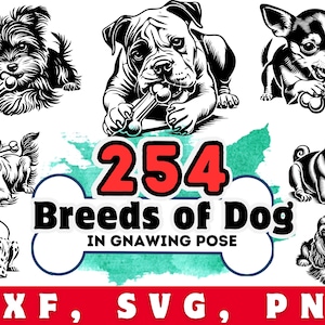 Dog Breeds SVG Bundle: 254 Vector Graphics, Cricut Silhouette (Commercial Use) | Cutting Machine Files