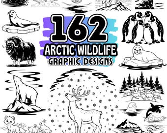 Op de afbeelding: Een verzameling van 162 zwart-wit grafische ontwerpen van arctische dieren, met illustraties van walrussen, uilen, wolven, pinguïns, zeehonden, muskusossen, ijsberen, rendieren en walvissen, met de tekst 162 ARCTIC WILDLIFE GRAPHIC DESIGNS.