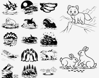 Op de afbeelding: Een verzameling van 165 zwart-wit grafische ontwerpen van arctische dieren. De bundel bevat illustraties van zeehonden, walvissen, narwallen, pinguïns, papegaaiduikers, muskusossen, ijsberen, rendieren, vossen en konijnen in SVG- en PNG-bestanden.