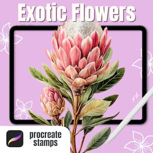 May include: Digital art of exotic flowers, including a large pink protea bloom and a smaller bud, set against a lavender background. The image is displayed on a tablet with the text "Exotic Flowers" at the top and "Procreate Stamps" at the bottom.