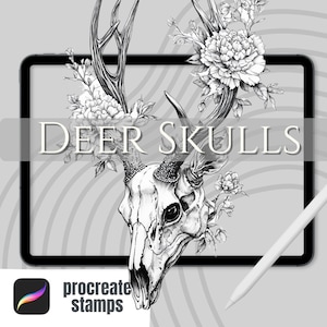 Puede incluir: Ilustración digital en blanco y negro de una calavera de ciervo con cuernos, adornada con elementos florales. El texto "DEER SKULLS" se muestra encima de la calavera. Un lápiz óptico y el logotipo de Procreate Stamps también son visibles.