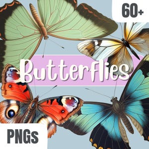 PNG's vlinders met transparante achtergrond | 80+ ontwerpen