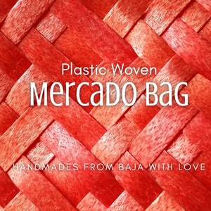 Mexican Shopping Bag, Traditional colorful basket plastic tote bags From Baja With Love