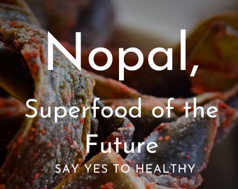 Nopalicious – Jerky Vegano de Nopal – Snack Mexicano Auténtico a Base de Plantas, Botana Saludable de Nopal, Sin Gluten, Sabor Tradicional