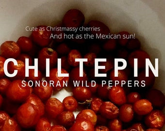 Chiltepin – Sonoran Wild Dried Peppers