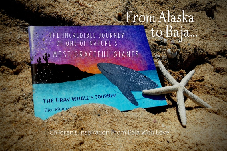 Gray Whale's Journey Children's Book: Waldorf Inspired, From Baja With Love image 1