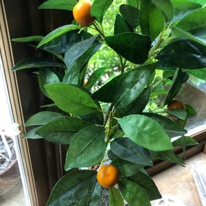 artificial lemon tree house plant