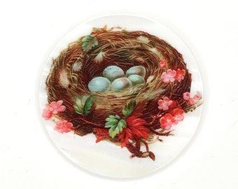 Mother of Pearl, Button or Cabochon - Bird nest with Eggs - Item #PR-1649