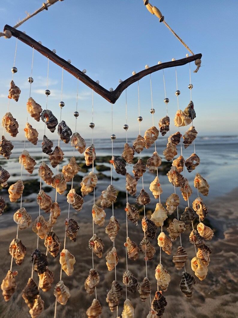 Seashell Beach Decor, Coastal Home Decor, Shell Wind Chimes, Beach ...