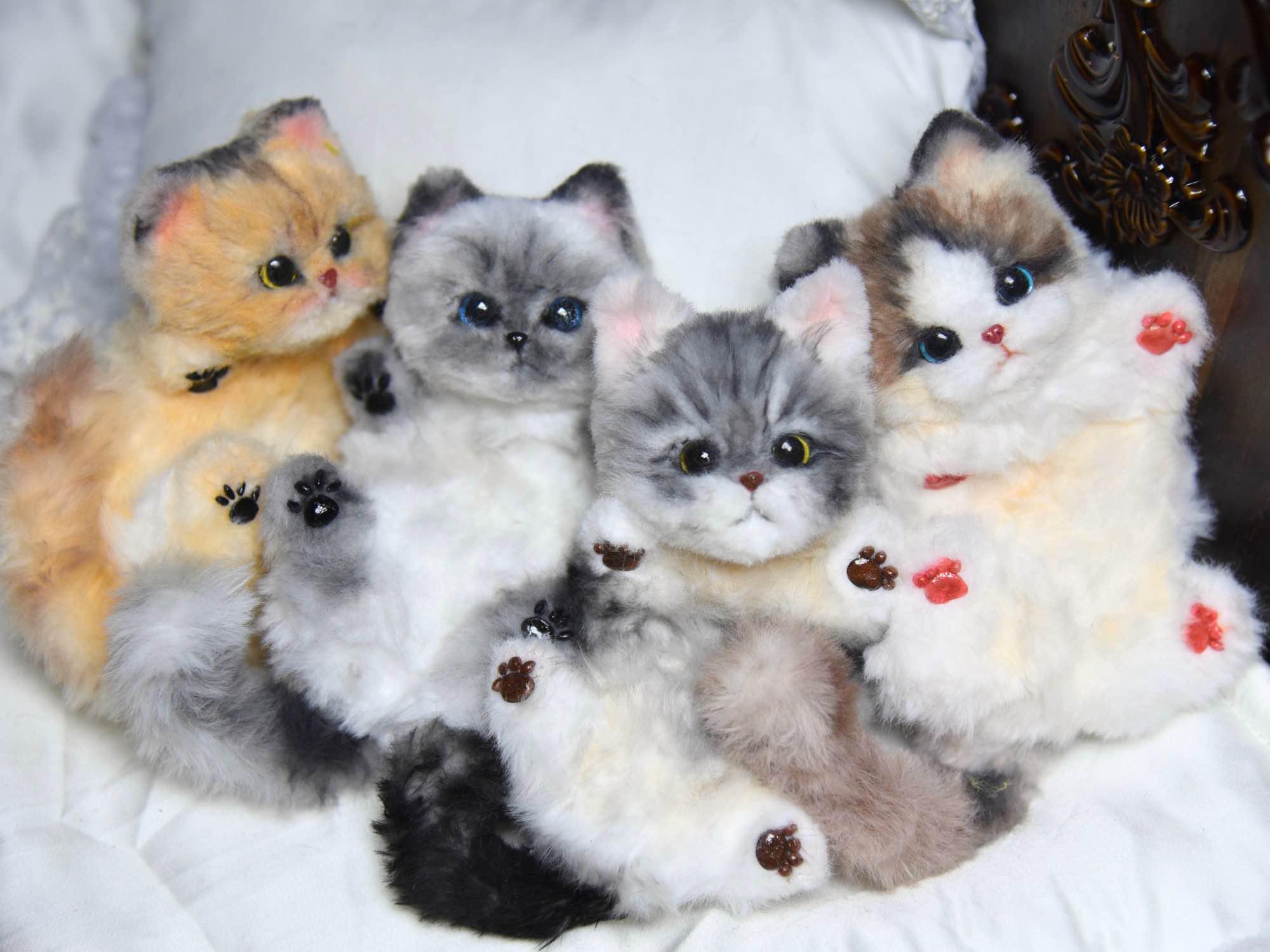 Reborn cat - Etsy 日本