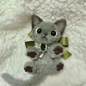 Peut inclure: Un jouet en peluche de chat gris avec des coussinets de pattes bruns, des yeux verts et un collier avec un bijou vert. Le chat porte un ruban vert autour du cou.