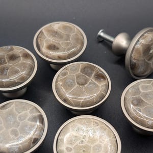 May include: A set of six round cabinet knobs featuring polished, light brown fossilized coral stone inlays. Each knob is encased in a smooth, brushed silver-toned metal frame with a matching metal base and a threaded screw attachment on the back.