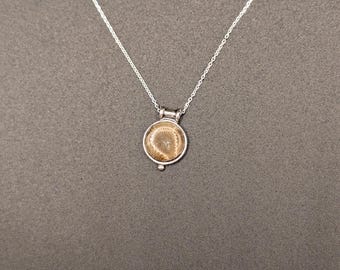 Collar de piedra Petoskey - Plata de ley