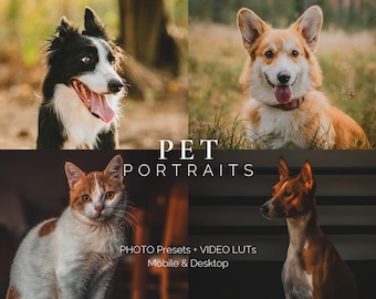 May include: A collage of four images featuring different pets. The top left image shows a black and white border collie dog with its tongue sticking out. The top right image shows a red and white corgi dog sitting in a grassy field. The bottom left image shows a white and orange cat sitting on a wooden surface. The bottom right image shows a brown and white basset hound dog sitting on a black and white striped surface. The text "PET PORTRAITS" is displayed in the center of the collage. Below the text is the phrase "PHOTO PRESETS + VIDEO LUTs Mobile & Desktop".