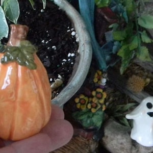 May include: A miniature ceramic pumpkin with a green stem and leaves, a white ceramic ghost holding a smaller pumpkin, and a variety of miniature plants and flowers.