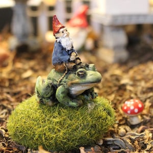 Gnome riding a frog  Micro Mini Gnome , Mini Gnome, Miniature Gnome, Tiny , Fairy Garden Gnome 3d printed