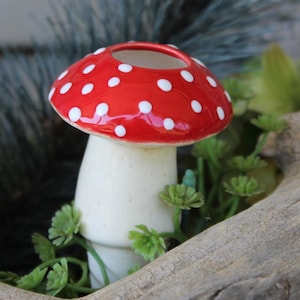 May include: A ceramic mushroom-shaped planter with a red cap and white polka dots. The mushroom has a cream-colored stem and a circular opening at the top. Green foliage surrounds the base of the mushroom.