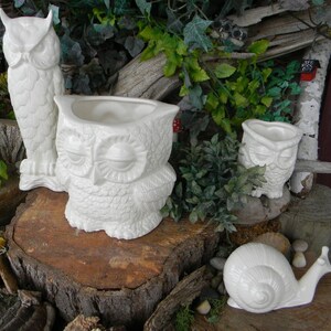 May include: Three white ceramic owl planters, one large and two small, with a white ceramic snail planter. The owls have closed eyes and detailed feathers. The snail has a spiral shell and a long tail. The planters are sitting on a tree stump with green foliage in the background.