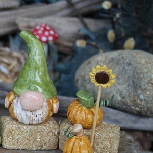 Garden Gnome  Terrarium  Magical gnome with a Fabulous Gnome w pumpkin belly     Miniature ceramic garden gnome hand sculpt