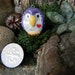 see more listings in the OWLS  section