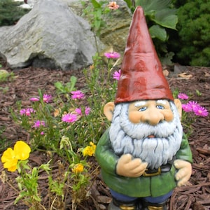 May include: A garden gnome statue with a red pointed hat, white beard, and green jacket stands in a garden bed with pink and yellow flowers. Other gnomes are visible in the background.