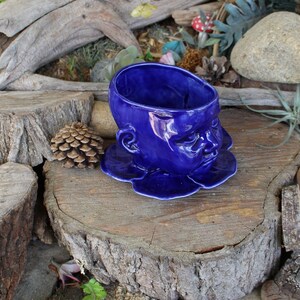 May include: A blue ceramic planter shaped like a face with a wide open mouth. The planter is sitting on a tree stump with a pine cone in front of it.