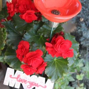 May include: A vibrant red begonia plant with lush green leaves and a decorative red flower-shaped bird feeder. A white sign with the words "Love you MOM" is placed in the pot.