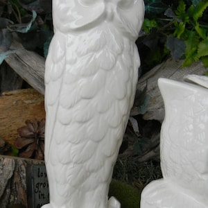 May include: Two white ceramic owl figurines. The owl on the left is standing on a tree branch. The owl on the right is sitting on a tree branch. Both owls have detailed feathers and a realistic appearance.