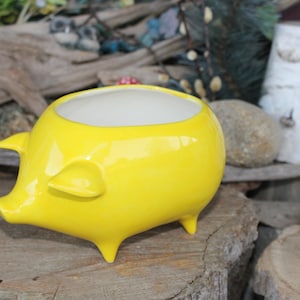 Pig Vase Planter in Bright  Sunshine Yellow  Ceramic Glazed from a Vintage fruit mold design