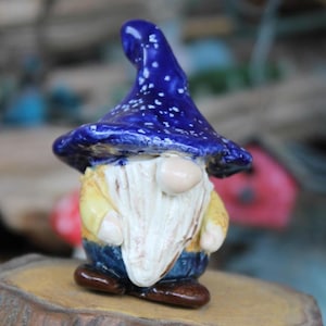 Garden Gnome  Terrarium  Magical gnome with a Fabulous  Gnome   Miniature ceramic garden gnome hand sculpt