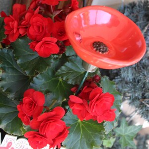 May include: A vibrant red ceramic flower-shaped bird feeder with a dark center, set amidst lush green foliage and bright red flowers. The feeder is mounted on a metal stem, creating a decorative garden accent.