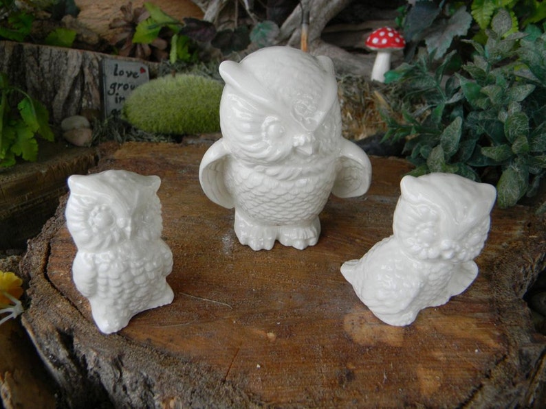 May include: Three white ceramic owl figurines. The owls are all different sizes and have detailed features. The largest owl is standing upright with its wings spread out. The two smaller owls are sitting down. The owls are all facing forward.