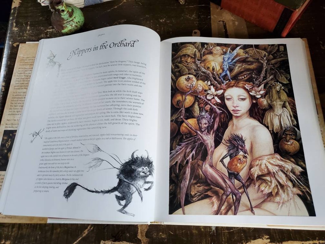 good faeries bad faeries by brian froud good faeries bad faeries by brian froud