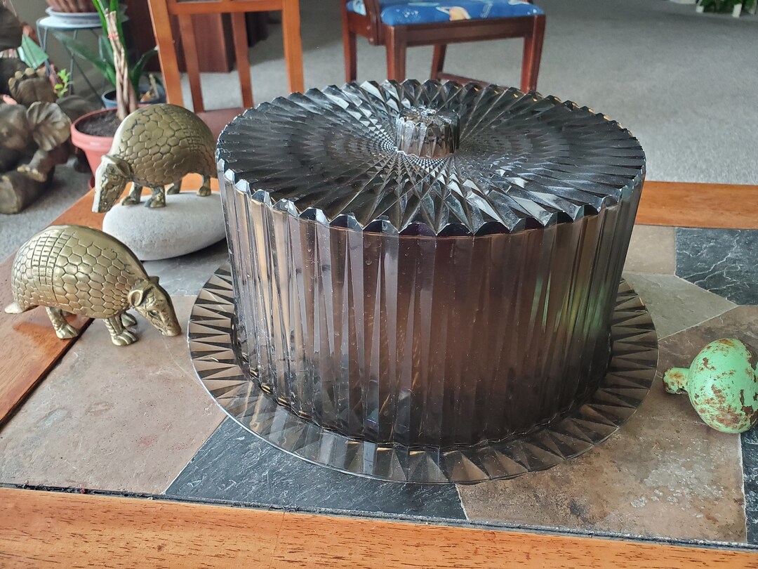 Vintage Mod Plastic Cake Taker Mid-century Modern Smokey Nostalgic ...