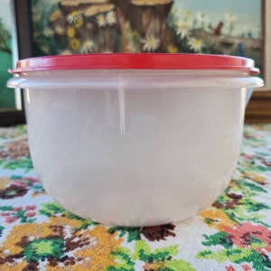 May include: A white plastic storage container with a red lid. The container is round and has a smooth surface.