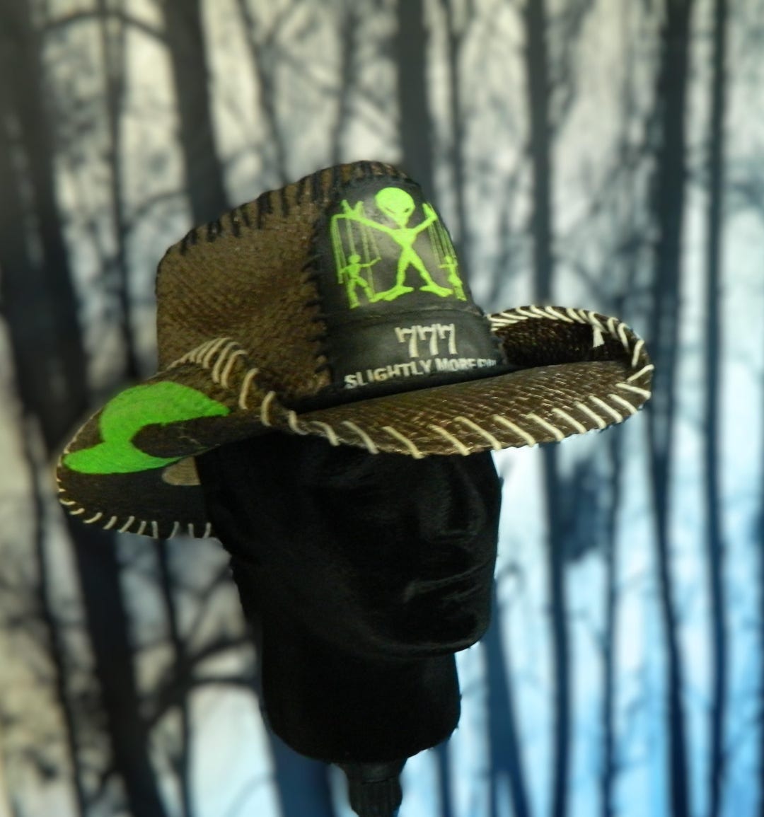 Cosmic Cowboy Hat: Join the Galactic Party With Our Alien Puppeteer ...