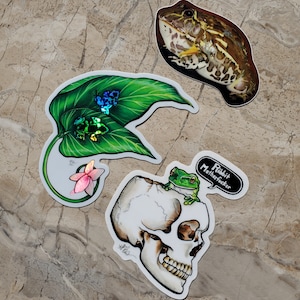 Stickers grenouille - Spoonie, grenouille verte chroniquement malade Dendrobates auratus