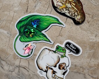 Pegatinas de rana - Spoonie Rana arbórea verde con enfermedad crónica Dendrobates auratus Ranas dardo venenosas Cráneo humano Pegatina hawaiana Olopu Rana toro