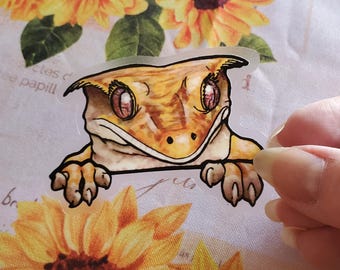 Pegatinas de gecko crestado: D20, arlequín, vinilo impermeable Superdal de rayas