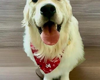 Halloween-hondenbandana: handgemaakte katoenen over-de-kraag huisdieraccessoire 5,00