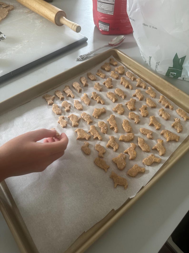 May include: A baking sheet lined with parchment paper and filled with various animal-shaped cookies. The cookies are a light brown color and have a slightly rough texture. A hand is reaching towards the cookies, as if to pick one up.