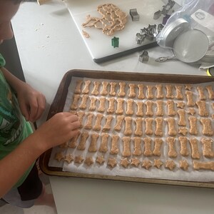 May include: A child is arranging homemade dog treats on a baking sheet. The treats are shaped like bones and stars. The baking sheet is lined with parchment paper.